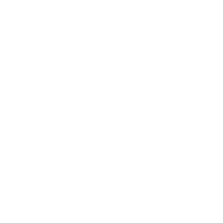 Canyon Shadows Logo